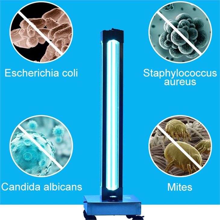 Sterilizzatur tad-Dawl UV li Jiċċaqlaq